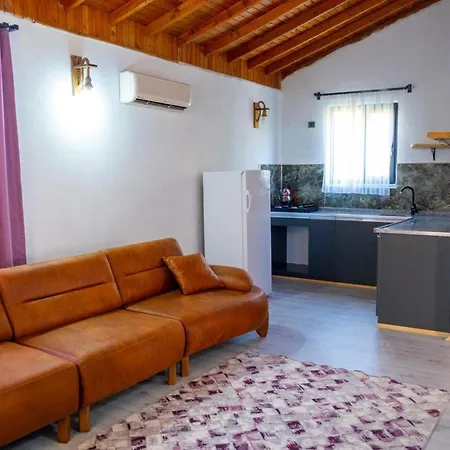 Atici Evleri Apartment Adrasan